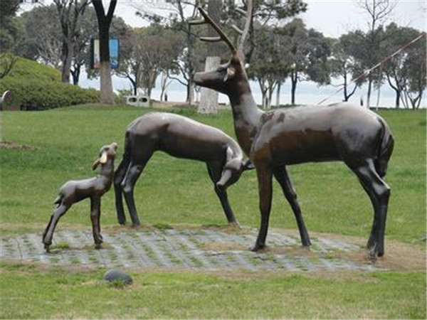 ����鿴����