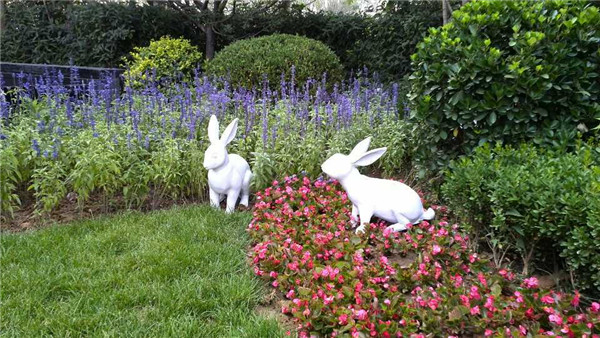 ����鿴����